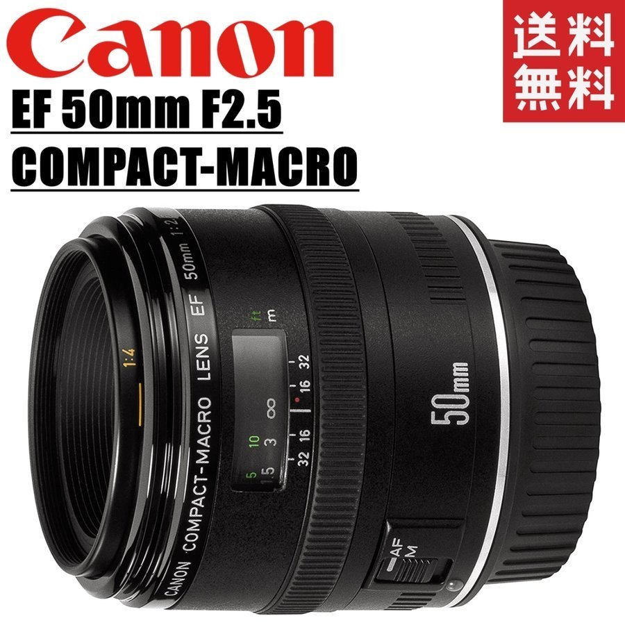 キヤノン Canon EF 50mm F2.5 コンパクト マクロレンズ フルサイズ対応 一眼レフ カメラ 中古_画像1