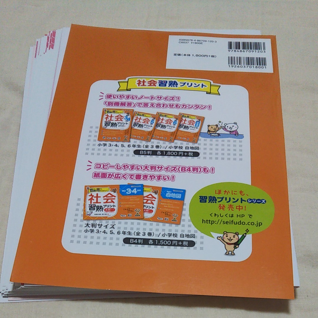 Paypayフリマ 裁断済み 習熟プリント 理科 5年生 社会5年生