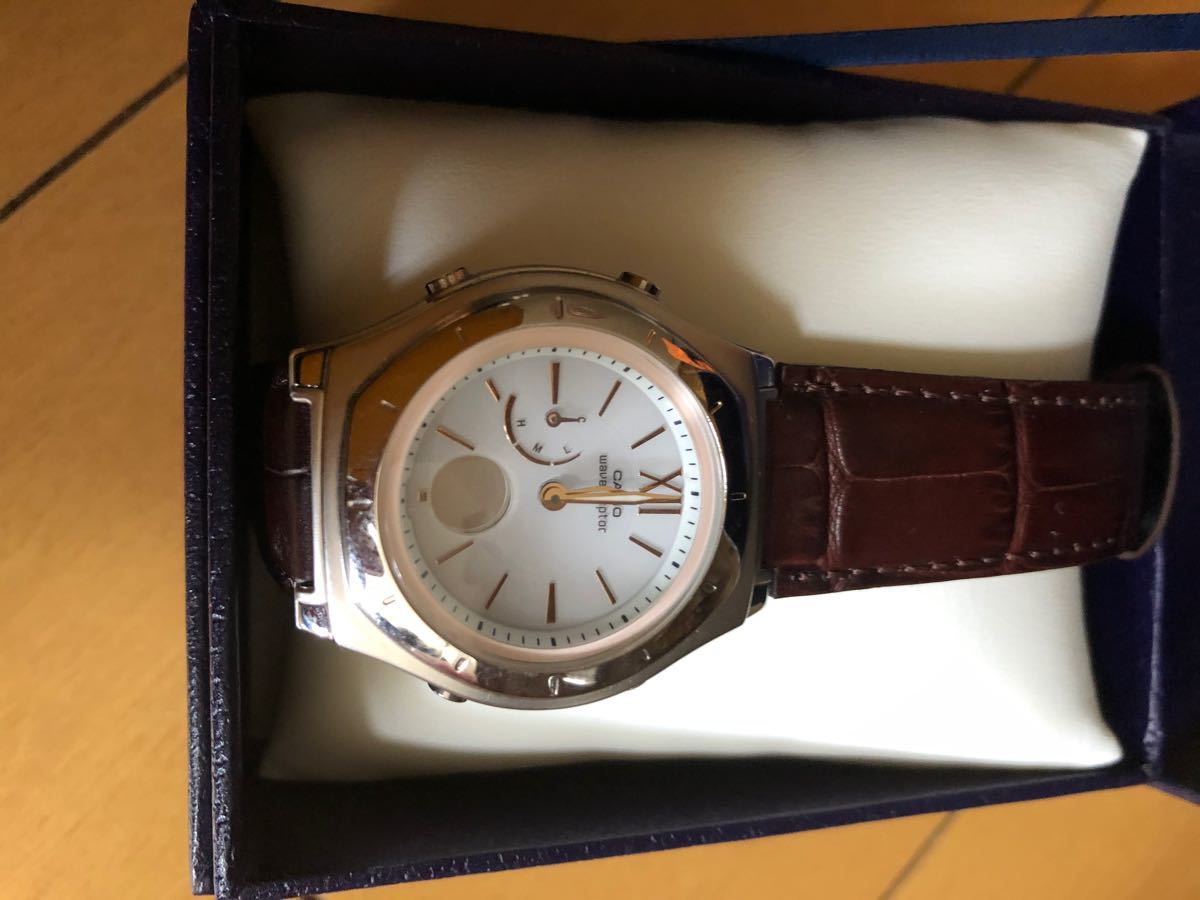 CASIO LWA-M160L-5A2JF | yachaqs.com
