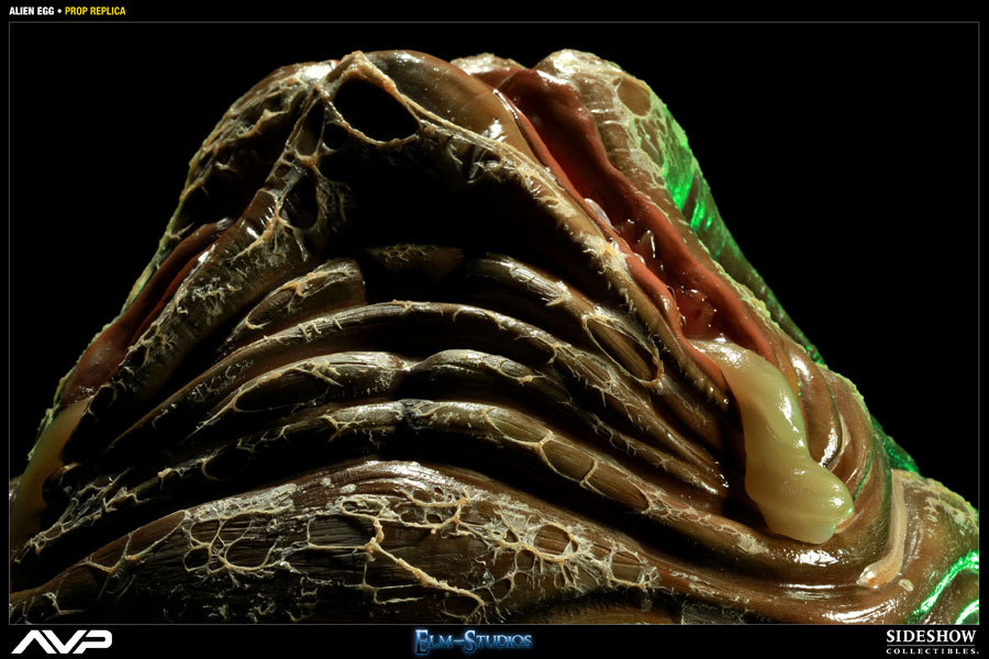 【玩具模型】SIDESHOW ALIEN EGG LIFE-SIZE サイドショーエイリアンエッグライフサイズ 人気樹脂模型限定版コレクション高さ64cm F04 3