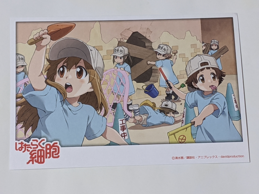 はたらく細胞 イラストカード 血小板 その他 売買されたオークション情報 Yahooの商品情報をアーカイブ公開 オークファン Aucfan Com はたらく細胞 イラストカード 血小板 その他 売買されたオークション情報 Yahooの商品情報をアーカイブ公開 オークファン Aucfan Com