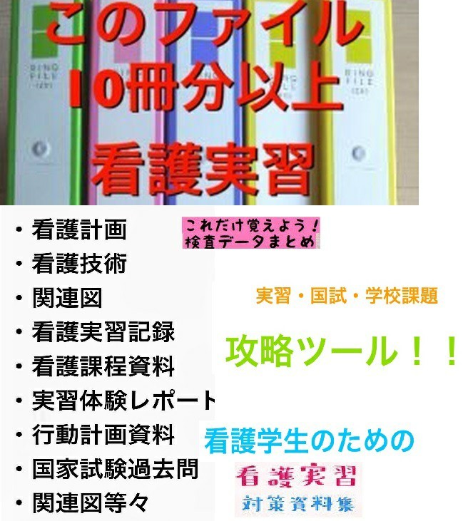 看護学生向け看護資料＋お役立ち課題資料　Microsoft　office対応　Wordデータ大量　現役看護学生