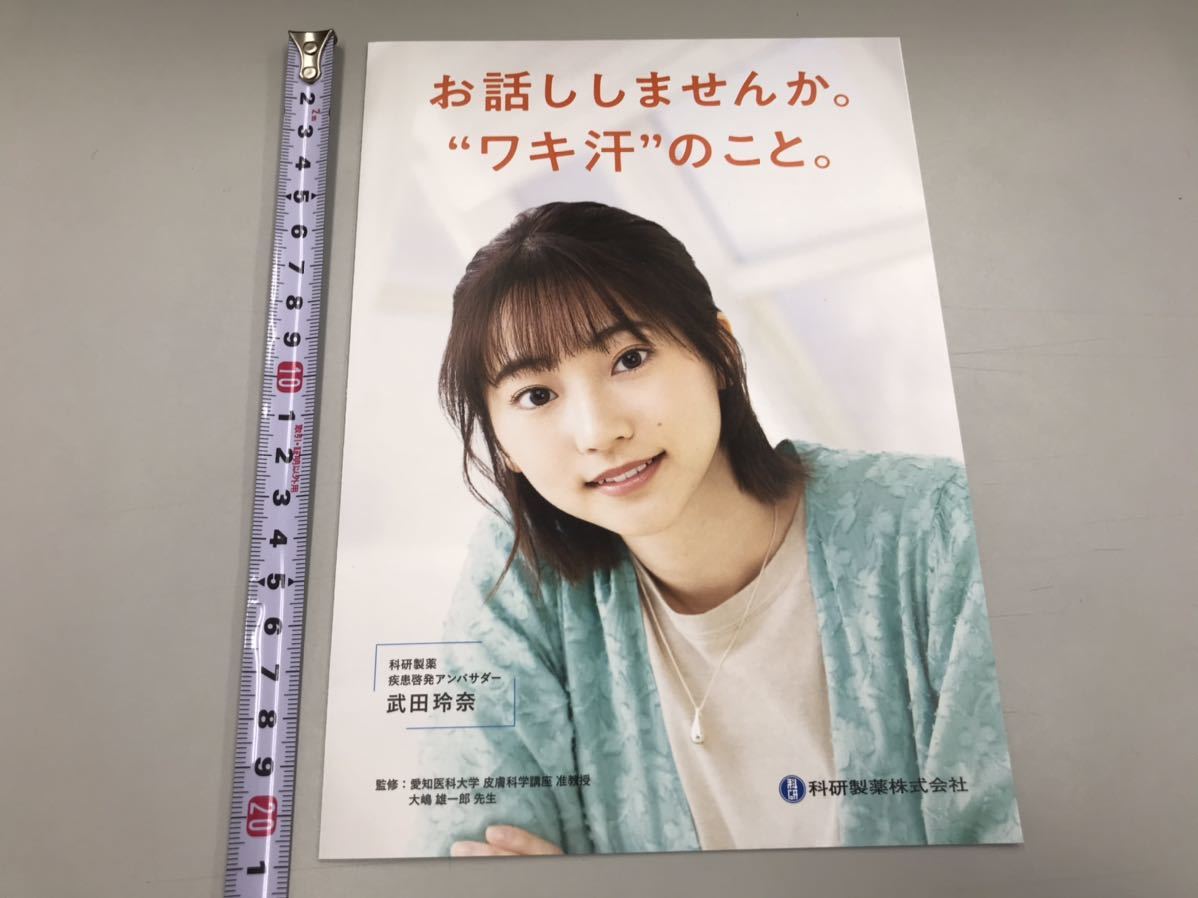 ヤフオク 武田玲奈 企業パンフレット アイドル 仮面ライダ ヤフオク 武田玲奈 企業パンフレット アイドル 仮面ライダ
