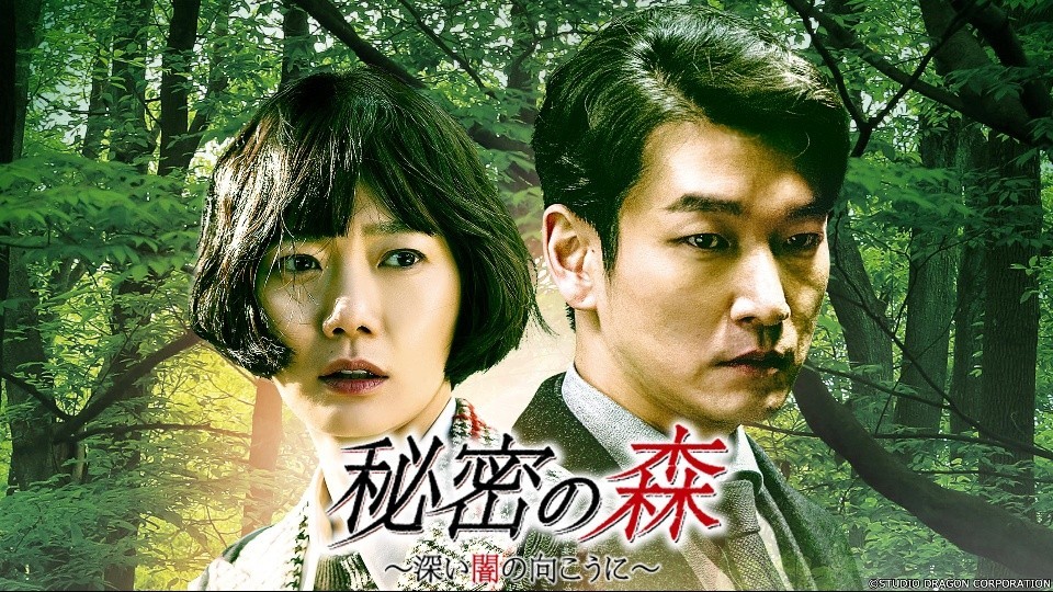 秘密の森 韓国ドラマ
