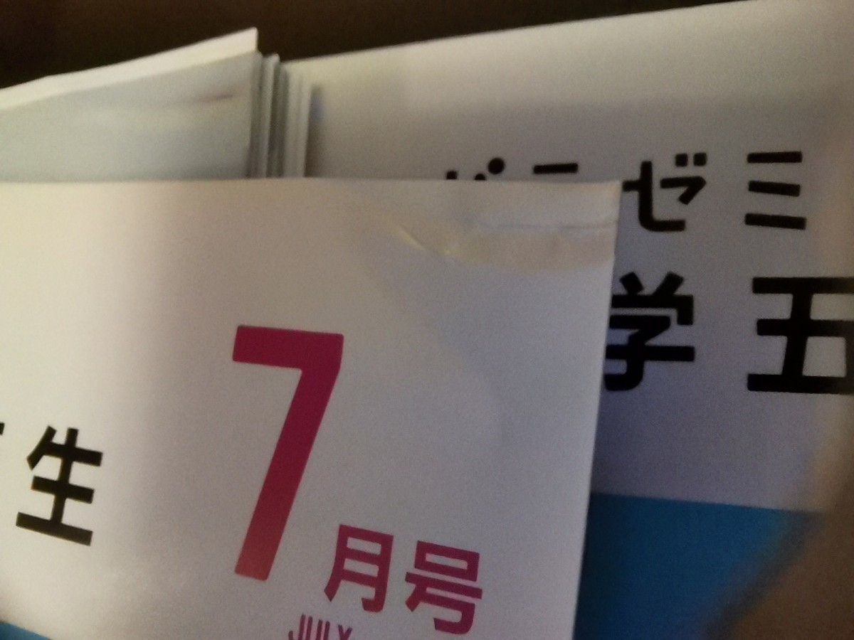 未記入 裁断済み】ドラゼミ4年生 一年分 | laninternet.com.br
