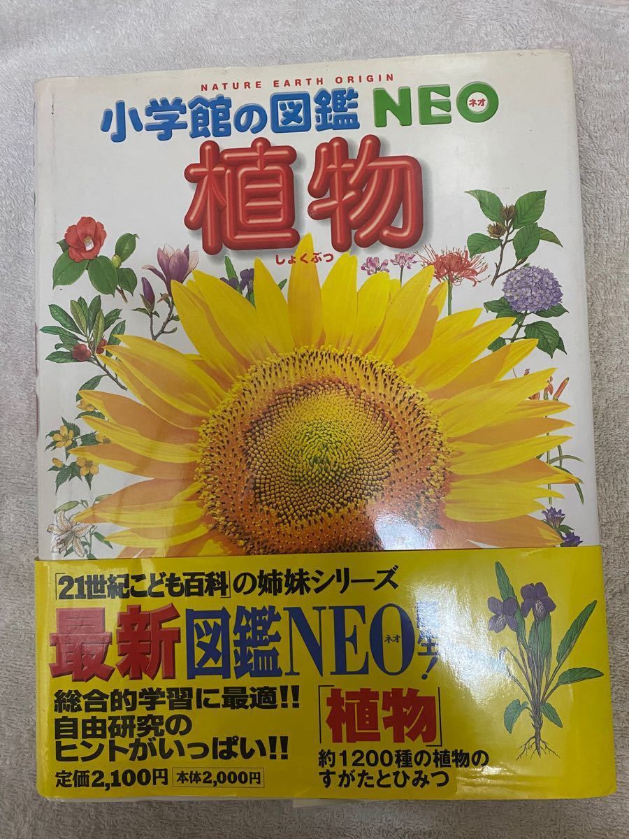 小学館の図鑑NEO 植物　図鑑