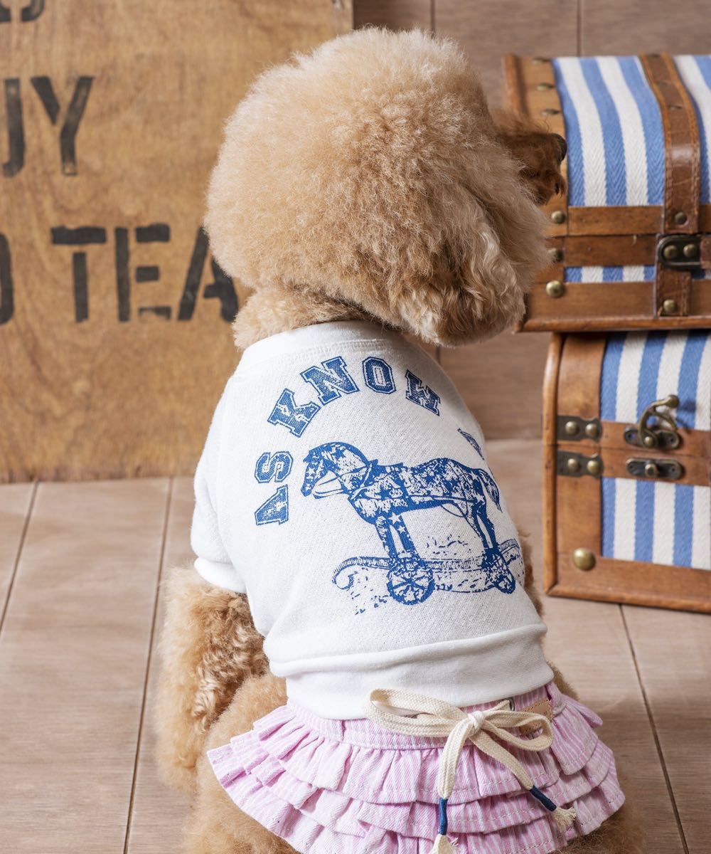Paypayフリマ アズノゥアズ 犬 Tシャツ 犬服 ペット 小型犬 As Know As シャツ Paypayフリマ アズノゥアズ 犬 Tシャツ 犬服 ペット 小型犬 As Know As シャツ