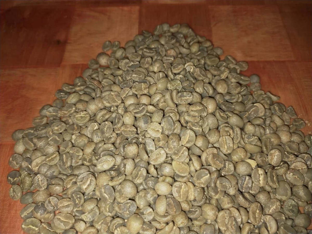 ブラジルチョコラーダ(チョコジャポン) コーヒー生豆 800g
