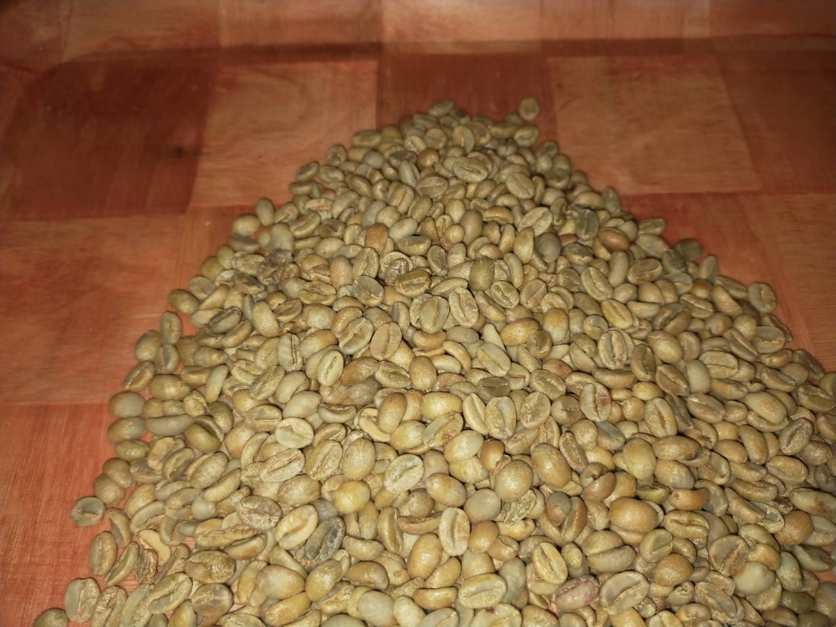 エチオピア グジG3ゲイシャ　コーヒー生豆　800g