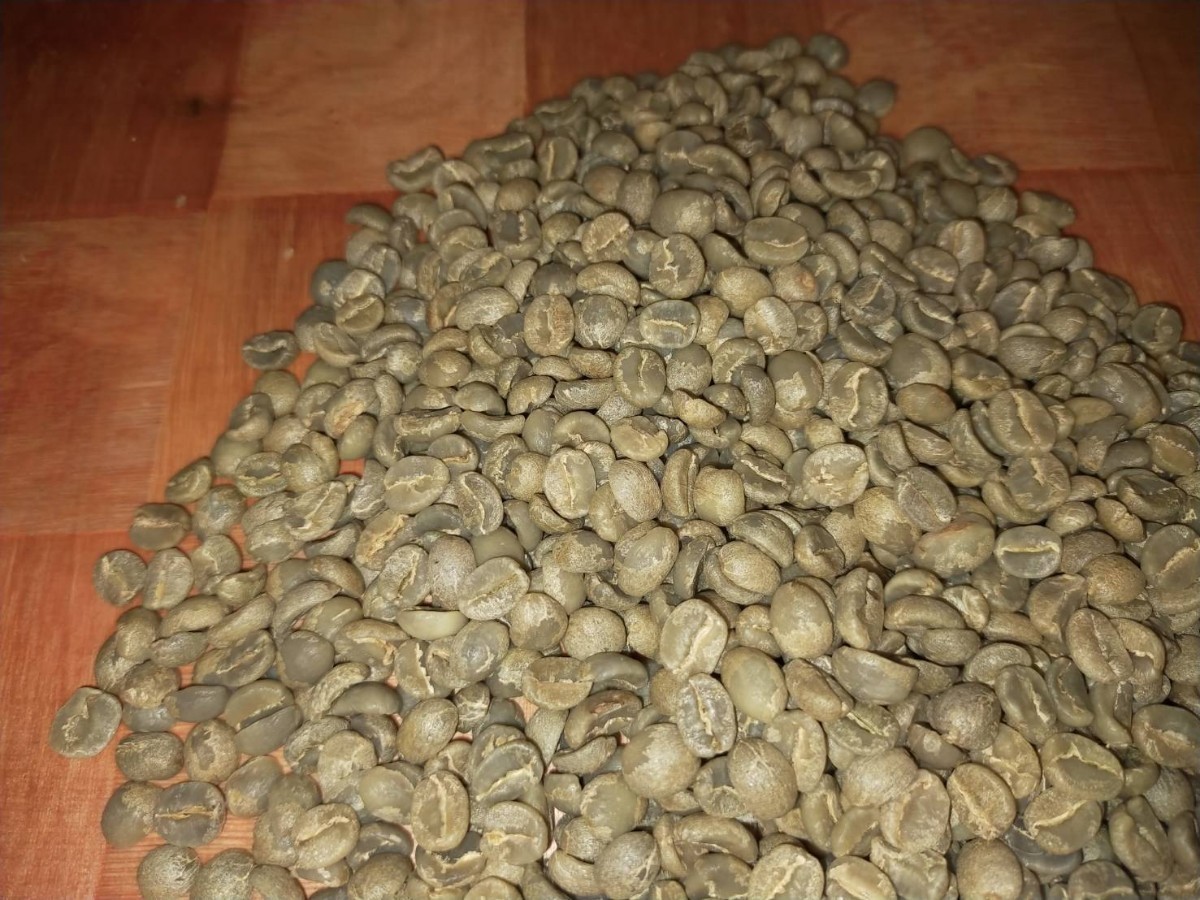 嫌気性発酵(アナエロビック)ミャンマーシャンリーウオッシュハニー　コーヒー生豆　800g