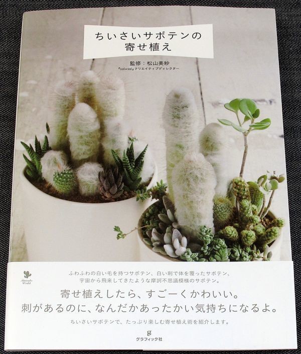 ★美品即納★ちいさいサボテンの寄せ植え｜鉢植え育成ガイド 小鉢 ミニサボテン カラー図鑑 栽培法 作り方 ディスプレイアレンジ 多肉植物#_落丁（ページ抜け）はありません