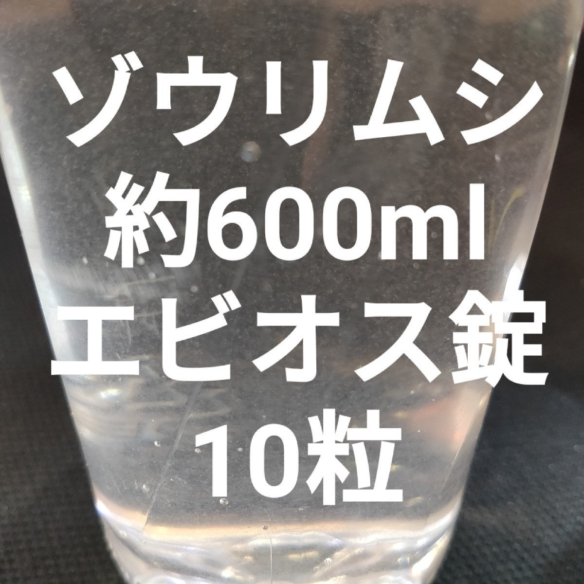 Paypayフリマ ゾウリムシ 約600ml 種水 メダカ 針子 生き餌 エビオス めだか Paypayフリマ ゾウリムシ 約600ml 種水 メダカ 針子 生き餌 エビオス めだか