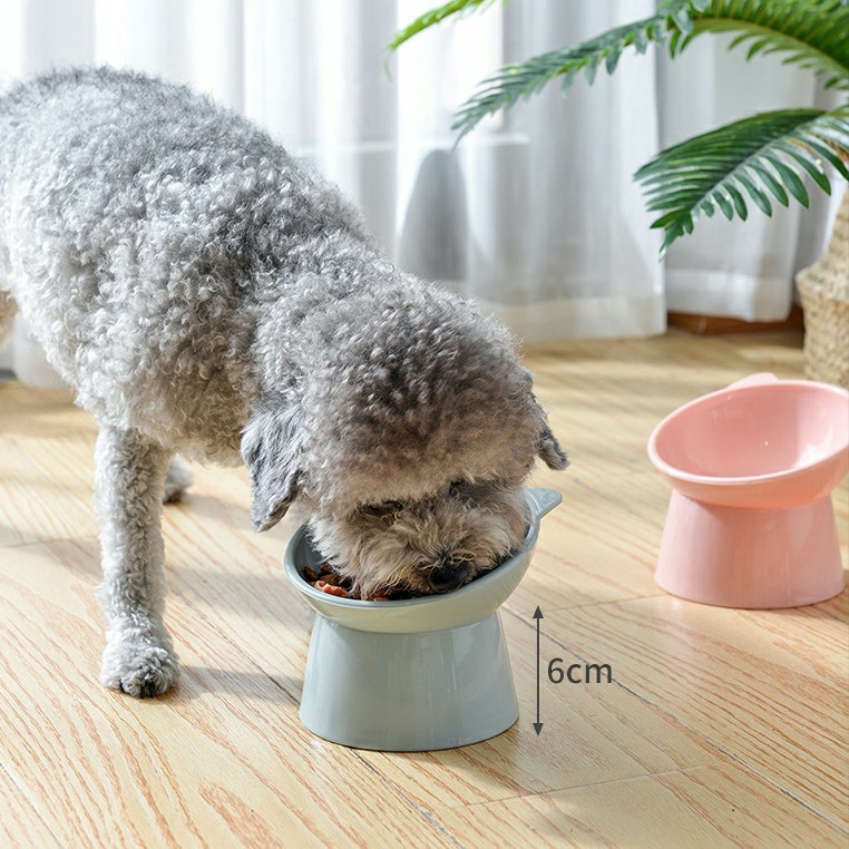 ペットボウル 猫 犬 フードボウル ペット用食器 餌入れ 水入れ カラフル
