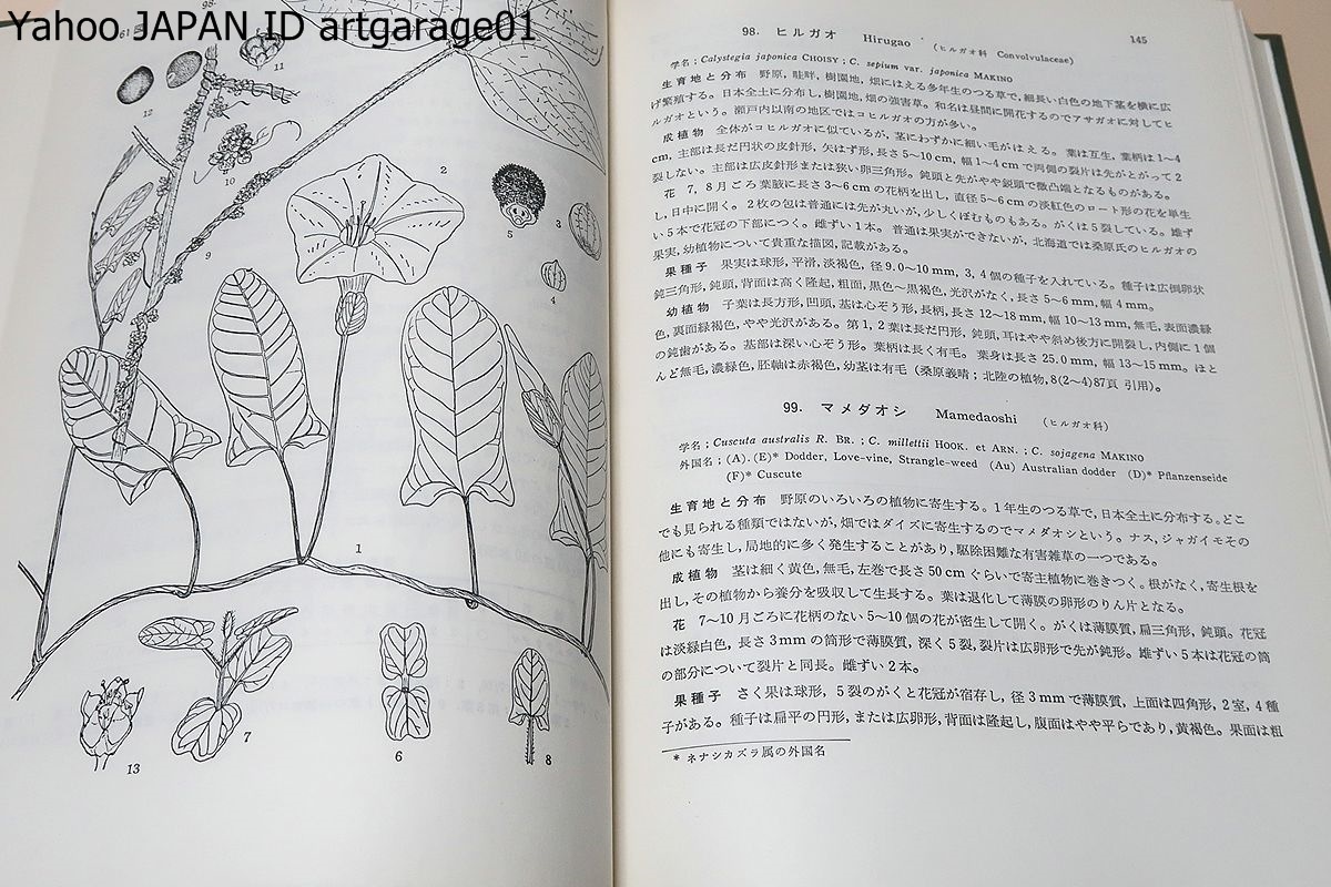 日本雑草図説/30数年一貫して雑草研究を続けて痛切に感じたことは雑草種実と幼植物の鑑定について指導書としての図説の必要なことであった_画像5
