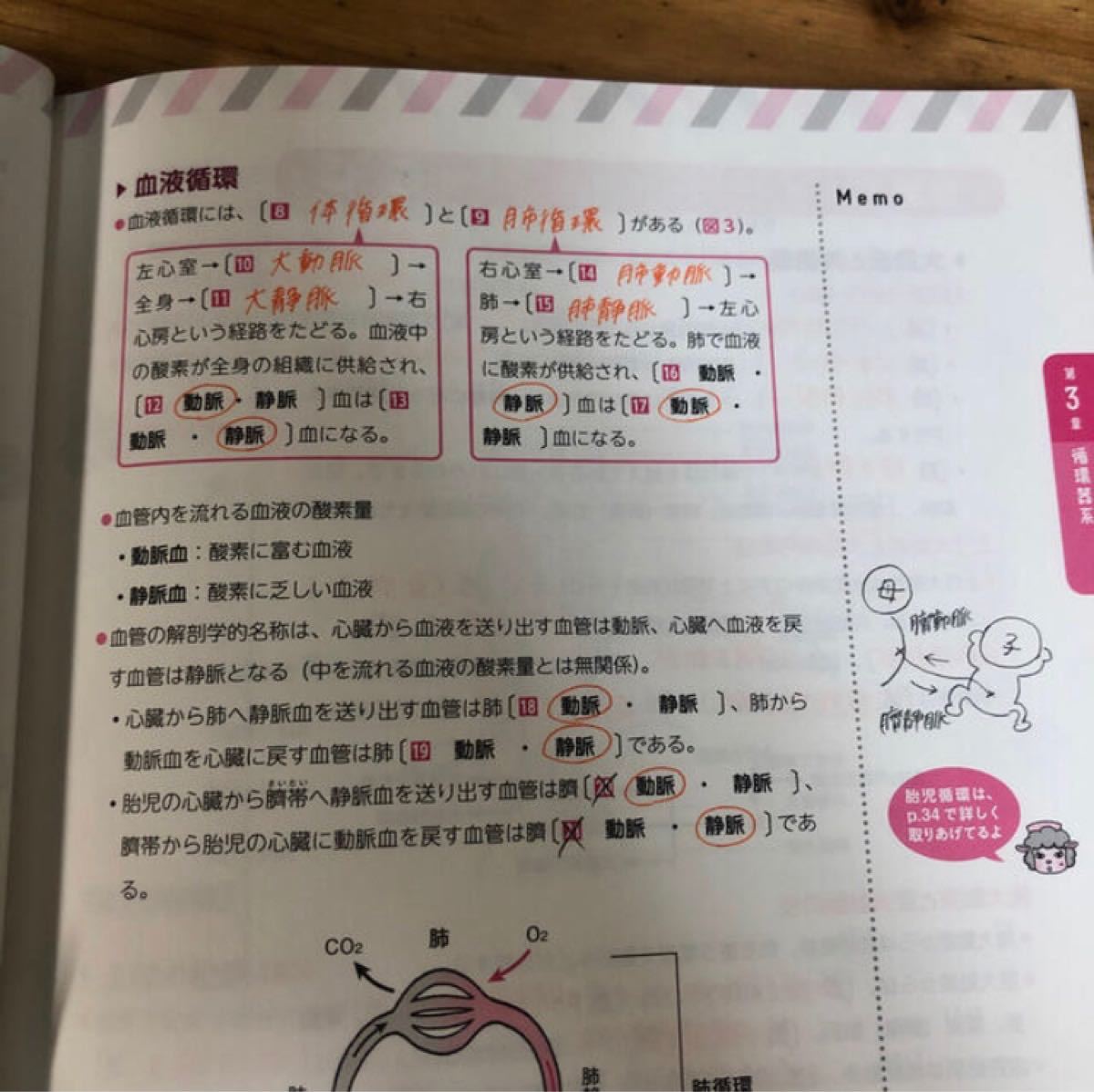 Clinical Study(クリニカルスタディ)増刊 自分でつくる 解剖生理 Clinical Study(クリニカルスタディ)増刊 自分でつくる 解剖生理