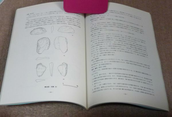 楠本下林遺跡 　津名郡町村会 編　東浦町教育委員会　/　兵庫県　淡路　遺跡_画像2