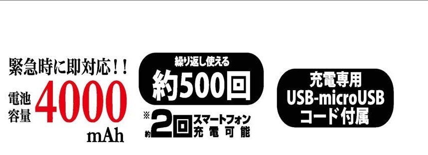 バンダイ エヴァンゲリオン 4000mAh USB出力 リチウムイオンポリマー充電器 2.1A 零号機 EV-143B PSE 新品 エヴァ 充電器 スマホ iphone_画像7