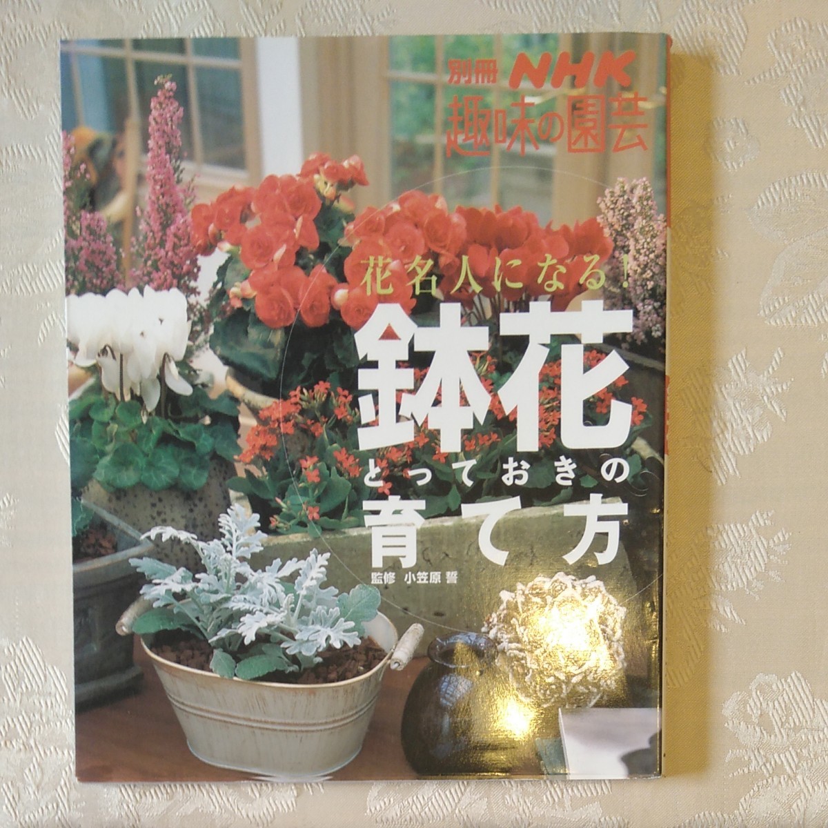 Paypayフリマ 書籍 鉢花とっておきの育て方 Nhk趣味の園芸 Paypayフリマ 書籍 鉢花とっておきの育て方 Nhk趣味の園芸