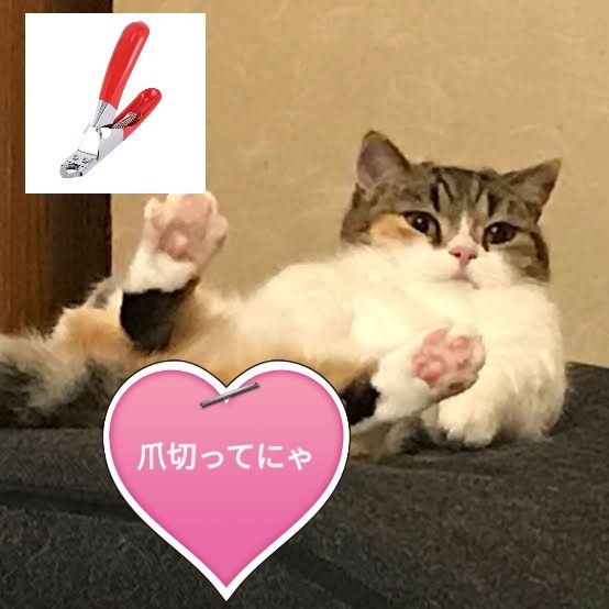 【RED　限界価格】猫用 犬用 つめ切り ペット用 ネイルトリマー  DIY