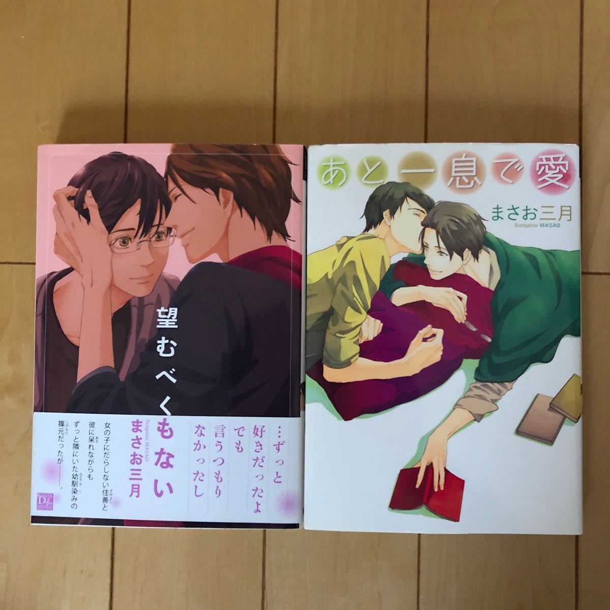 まさお三月 望むべくもない 他全8冊セット Www Clinicagretter It まさお三月 望むべくもない 他全8冊セット Www Clinicagretter It