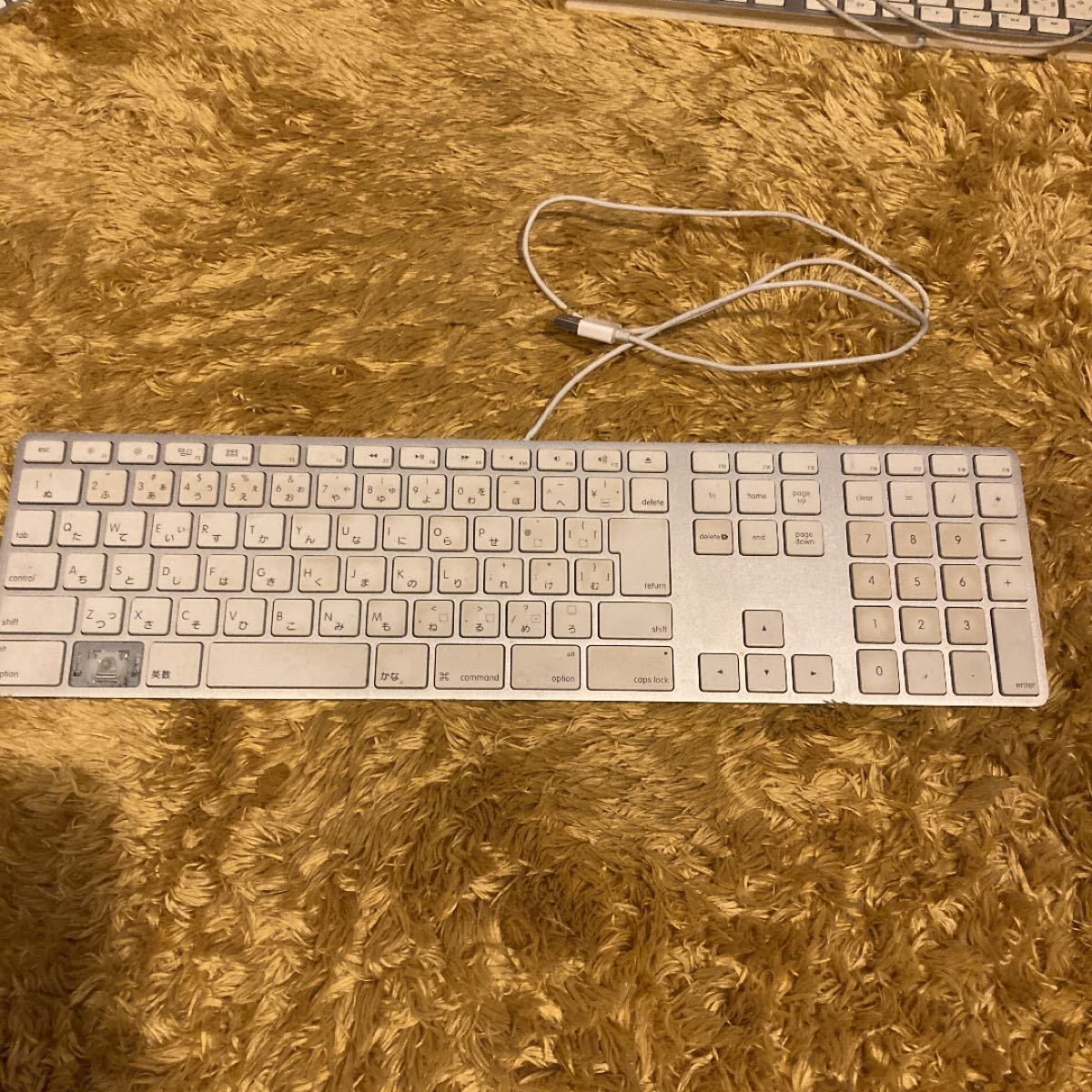 Apple Keyboard USBキーボード