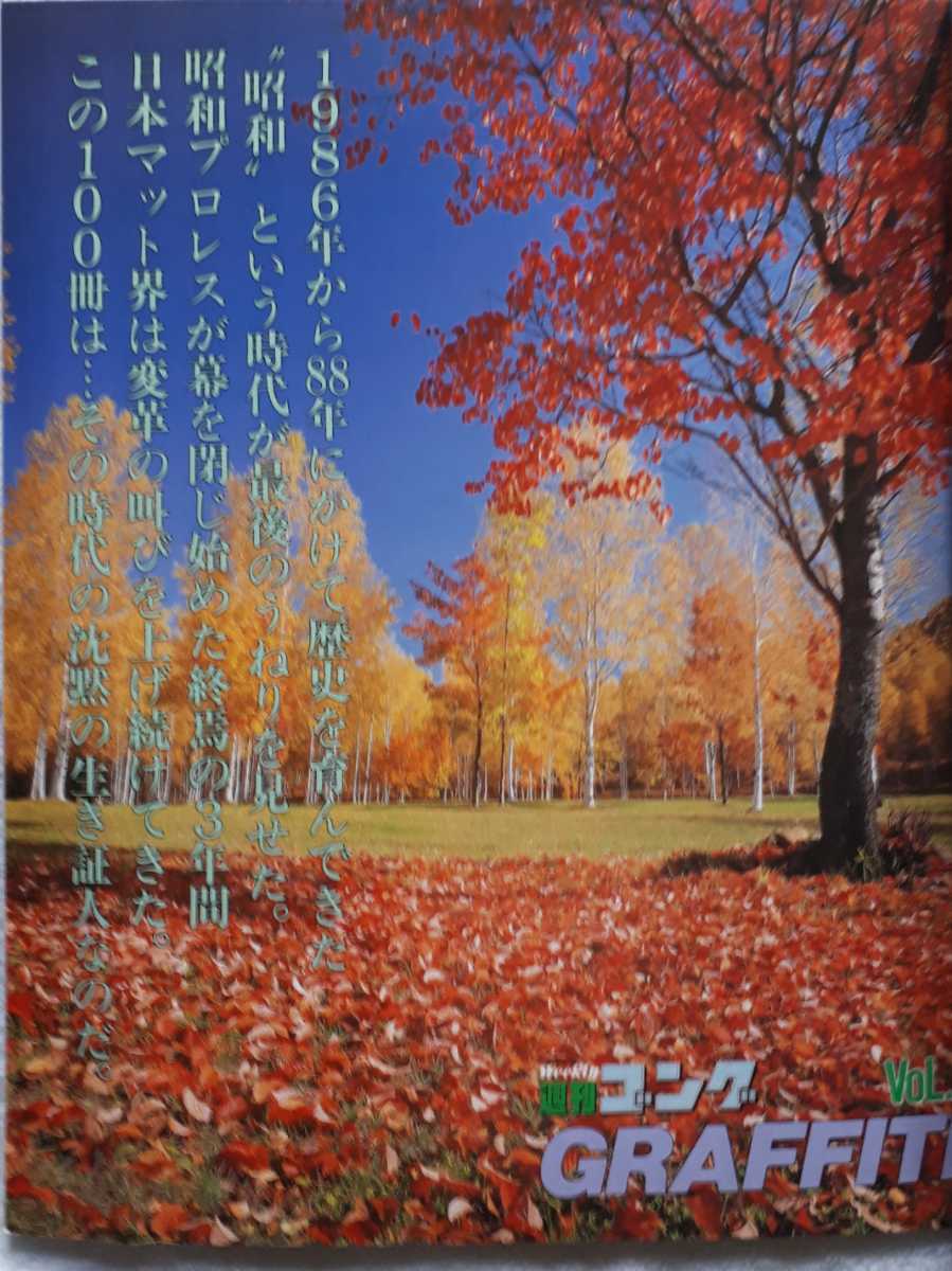 (株)日本スポーツ出版社「週刊ゴング・グラフティVoL.2」1997年12月20日発行_画像2