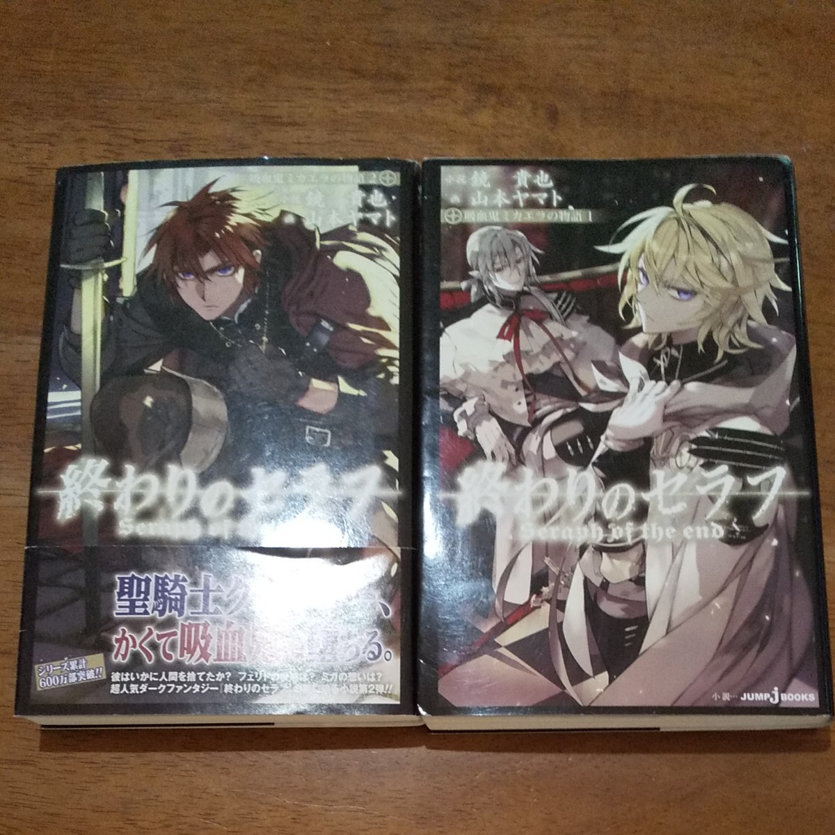 小説　終わりのセラフ　吸血鬼ミカエラの物語①・② 2冊セット