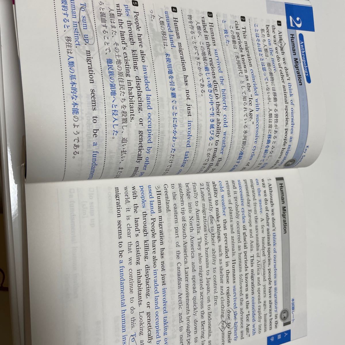 Paypayフリマ Toefl Test必須英単語5600 Toefl Ibt Test対策決定版 林功 Paypayフリマ Toefl Test必須英単語5600 Toefl Ibt Test対策決定版 林功