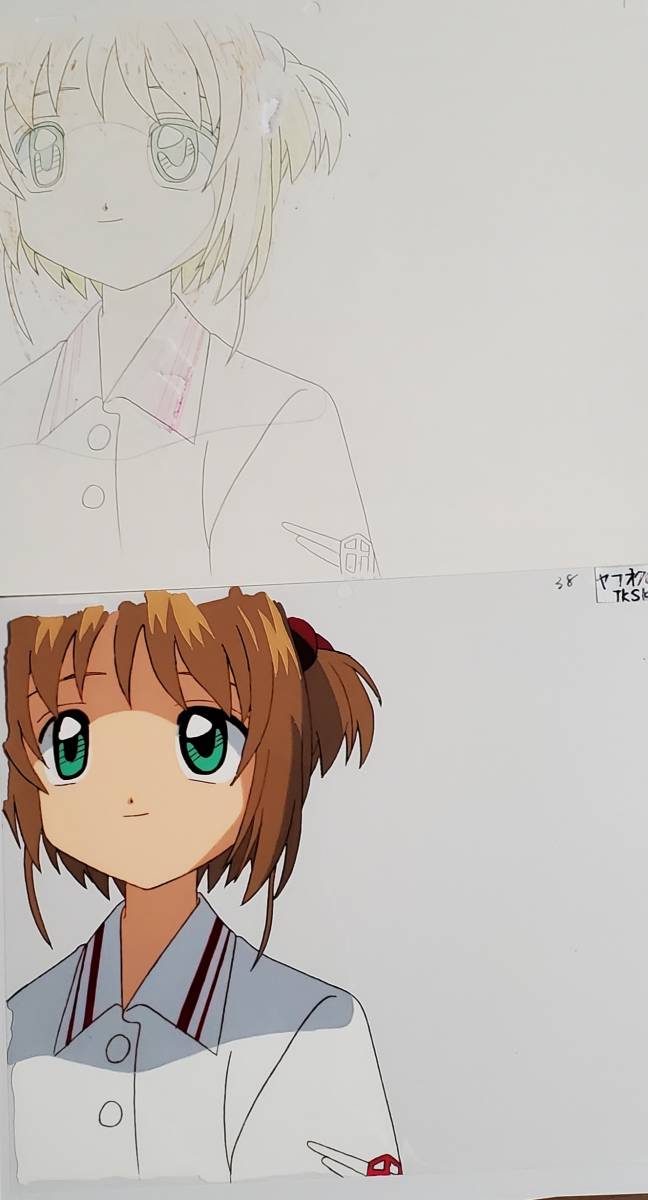  Cardcaptor Sakura tree .book@ Sakura ( gym uniform .) cell picture . animation 