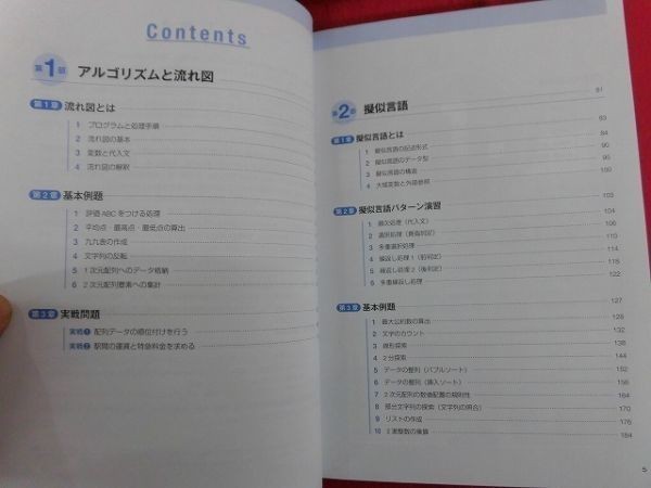 N176 基本情報技術者 大滝みや子先生のかんたんアルゴリズム解法 流れ図と疑似言語 ＲＩＣ 2016年_画像2