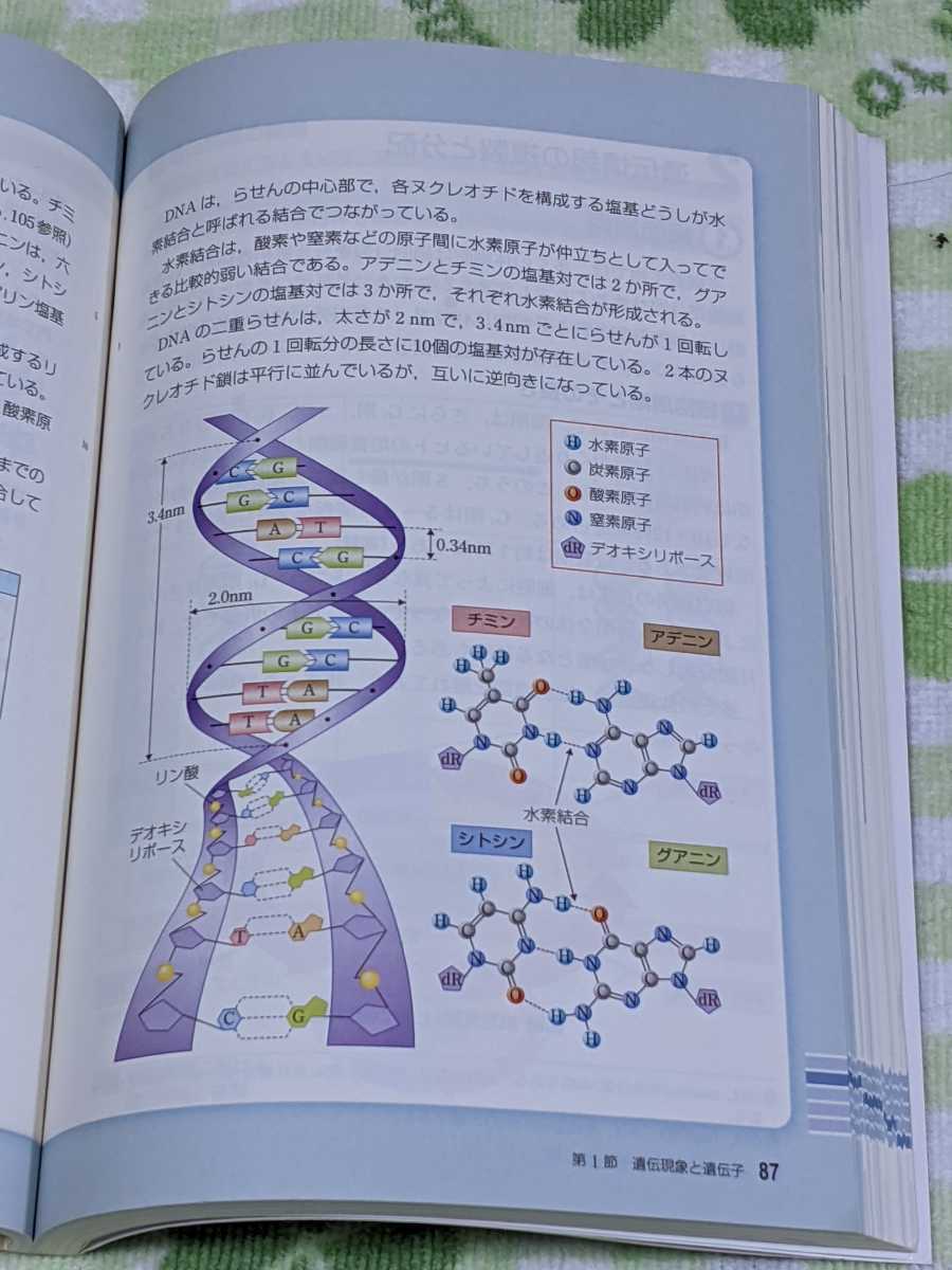 即決☆高等学校☆生物基礎☆新課程平成２６年度用教科書審査用見本☆第一学習社☆生基308☆第一学習社 高校 理科 教科書 _画像3