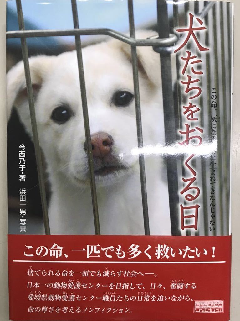 ヤフオク 犬たちをおくる日 今西乃子 ノンフィクション知 ヤフオク 犬たちをおくる日 今西乃子 ノンフィクション知