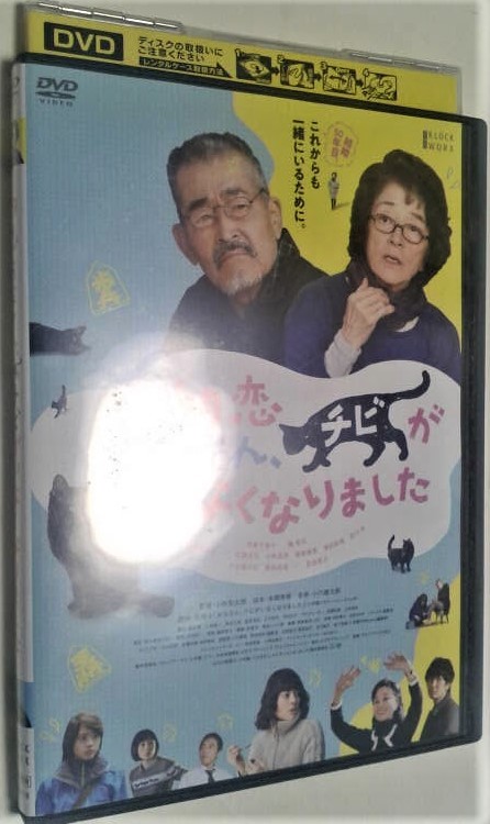 映画「初恋お父さん、チビがいなくなりました」DVD （レンタル落ち）_画像1