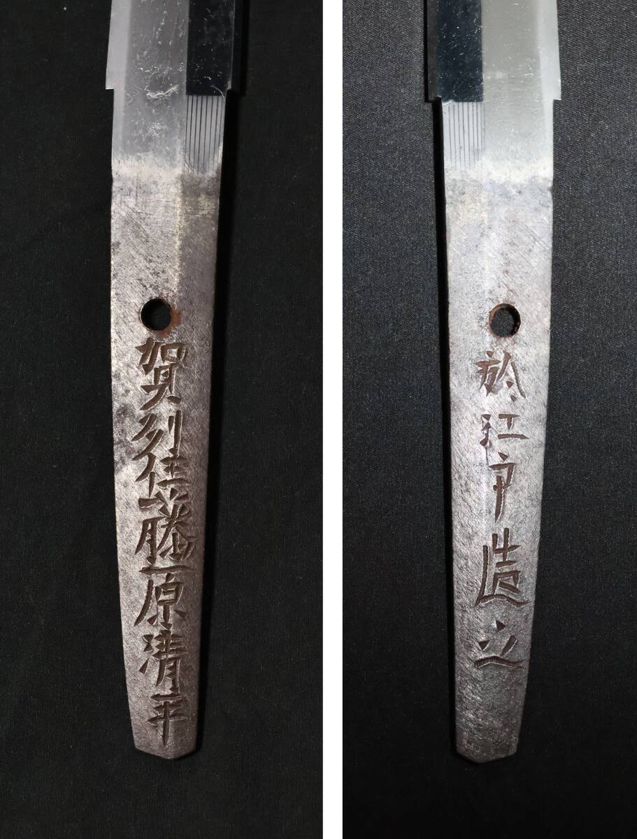 【送料無料】賀州住藤原清平作　於江戸造之　脇差　白鞘、刀袋、登録証付き_3