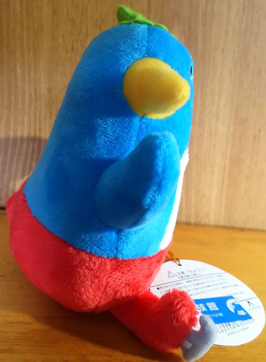 [... . aquarium mo- Lee soft toy ] sendai / Miyagi prefecture / penguin 