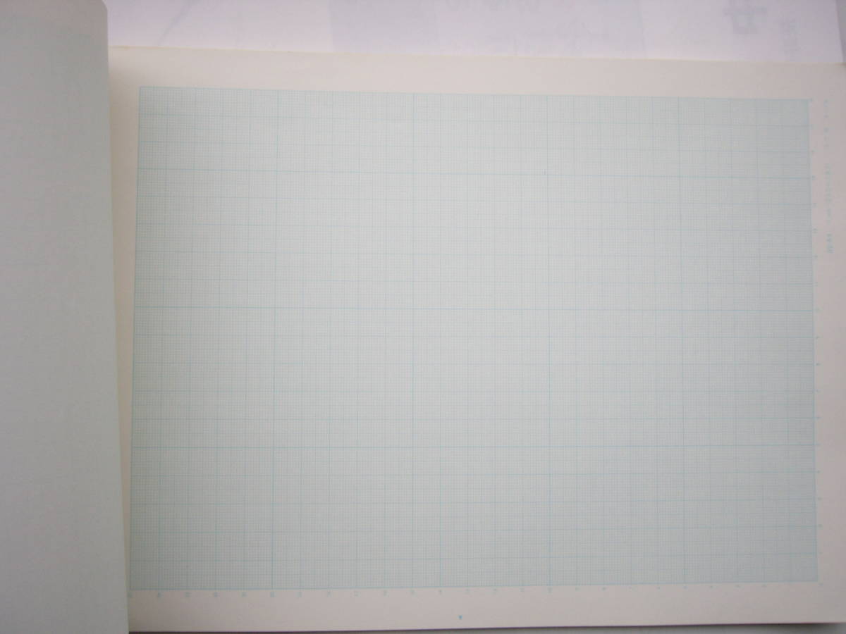 ルーズリーフ（A4版）２冊セット/「方眼紙/1㎜方眼（250×180）」＋「TABULATION PAPER（集計用紙/横罫6.5mm40行）」_画像4