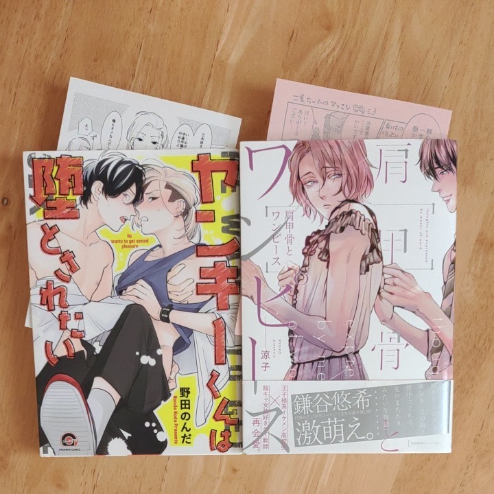 Paypayフリマ 野田のんだ ヤンキーくんは堕とされたい 涼子 肩甲骨とワンピース Paypayフリマ 野田のんだ ヤンキーくんは堕とされたい 涼子 肩甲骨とワンピース