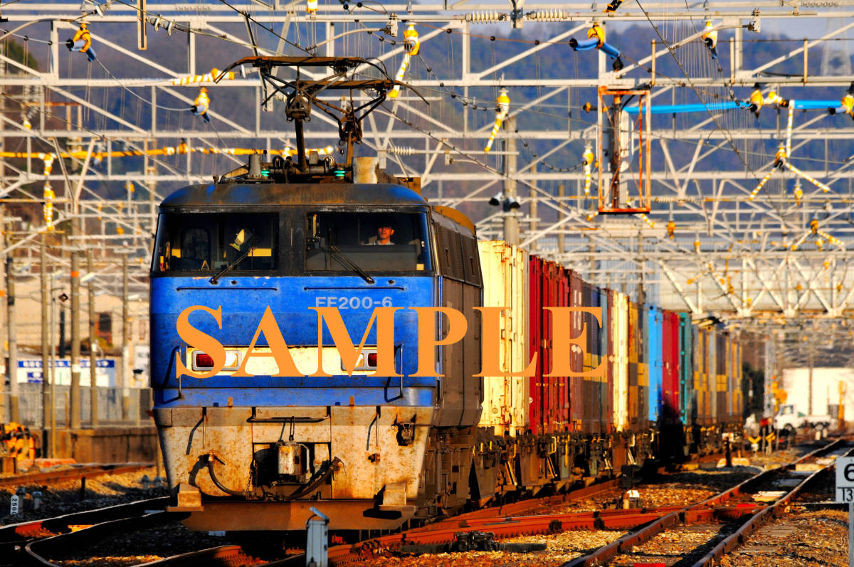 D【鉄道写真】L版１枚　EF210系　貨物列車_画像1