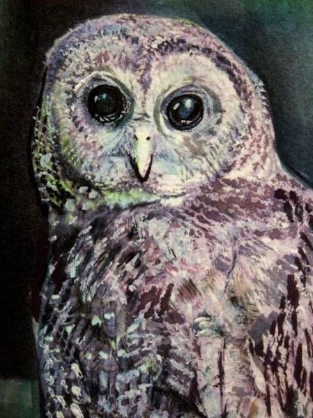 *** watercolor painting see ... black ..[. point owl ]