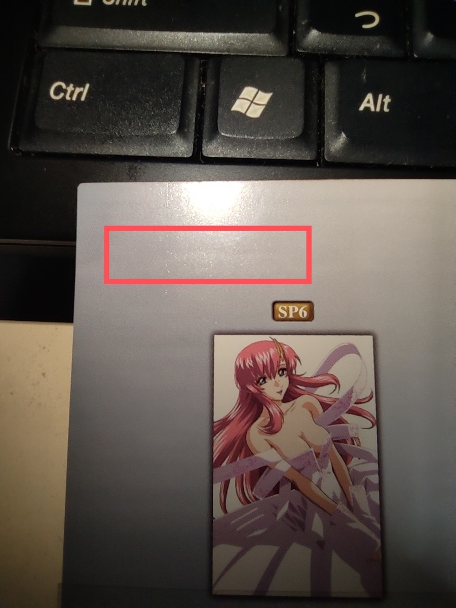 機動戦士ガンダムSEED DESTINY カードダスマスターズ ラクス 機動戦士ガンダムSEED DESTINY カードダスマスターズ ラクス