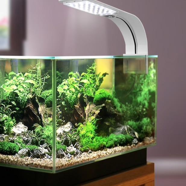 Paypayフリマ アクアリウム スリム 10w Led 防水 ライト 水槽 電球 Paypayフリマ アクアリウム スリム 10w Led 防水 ライト 水槽 電球