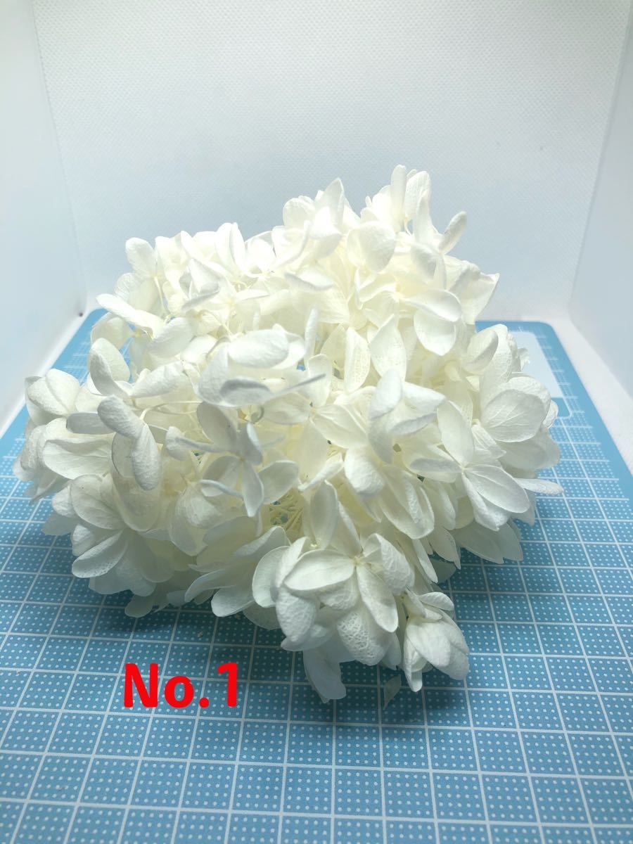 プリザーブドフラワー ハーバリウム花材  50g ハンドメイド