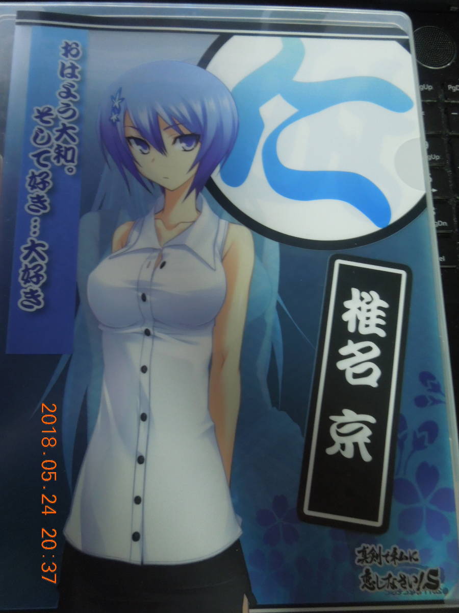 椎名京 板垣辰子 クリアファイル / 「真剣で私に恋しなさい! S ヒロインクリアファイル」 ソフマップ特典_画像1