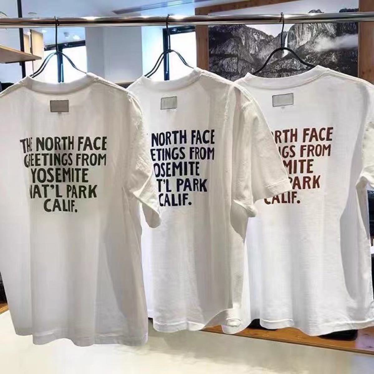 ノースフェイス　THE NORTH FACE 5.5ozTシャツ　NT3022N WHITE Tee Tシャツ