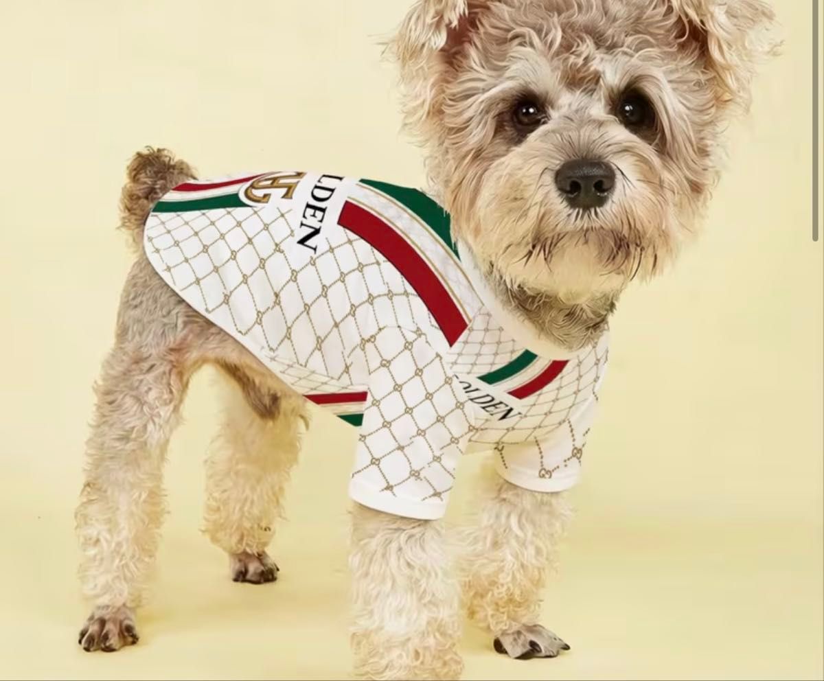 GOLDEN 犬服 ドッグウェア ペット服 GUCCI風 ホワイト Mサイズ｜Yahoo