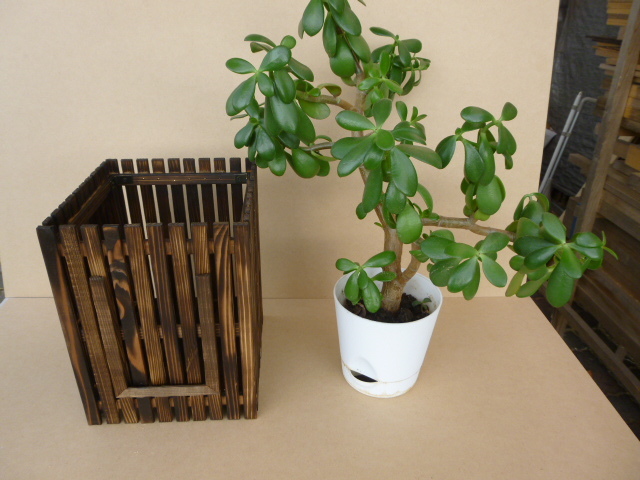  handmade roasting Japanese cedar length .. planter cover ( holder attaching )