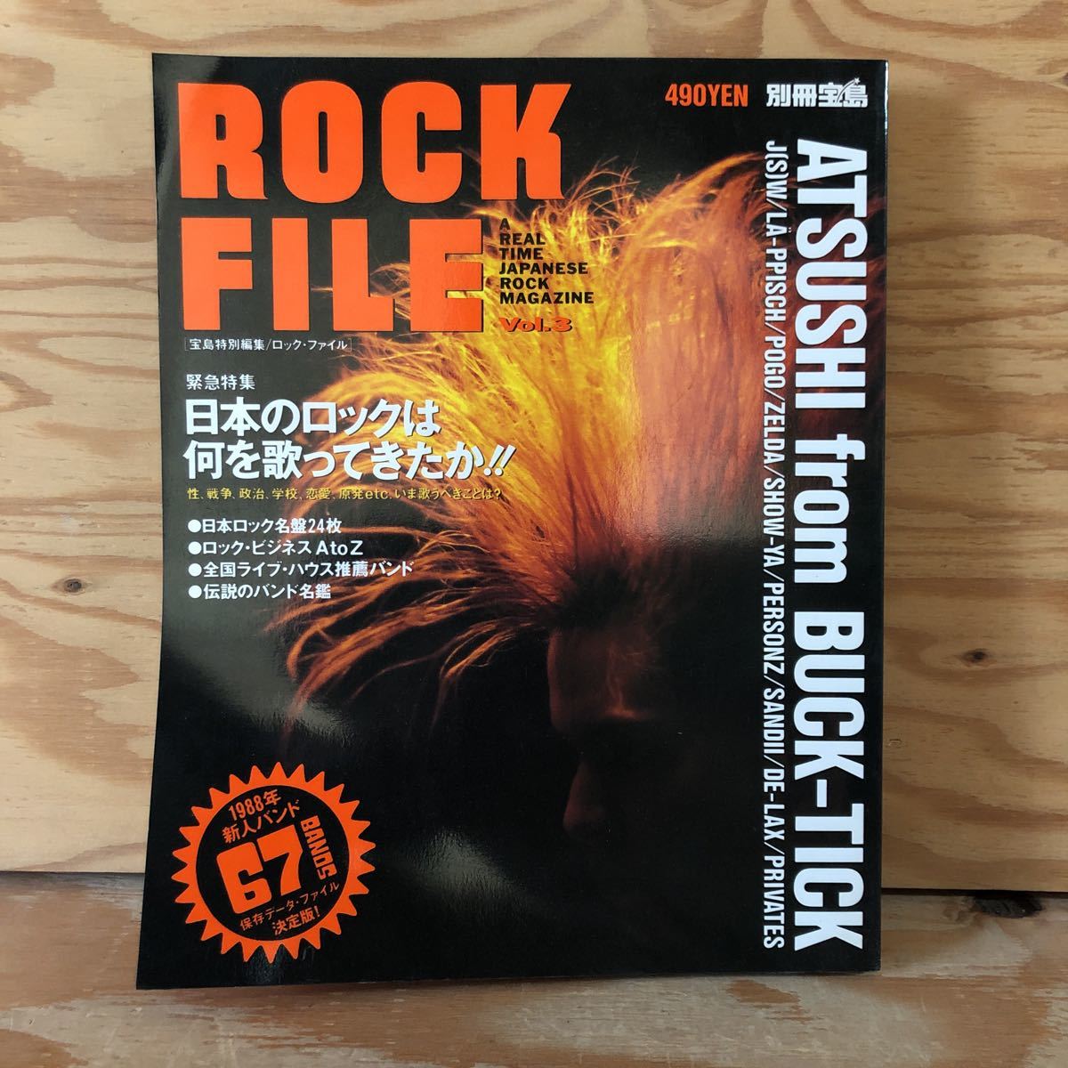 N3FC1-210517 レア［ROCK FILE Vol.3　1988年新人バンド データファイル JICC出版局］桜井敦司_画像1