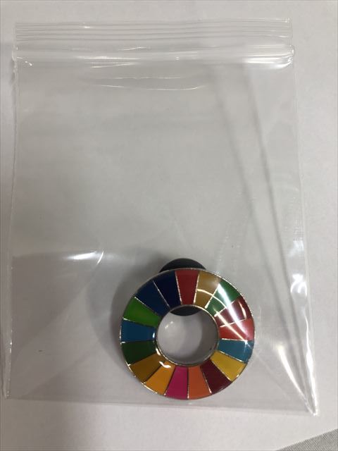 SDGs ピンバッジ　 10個(7700円税込）（国連ブックショップ購入・送料無料・新品未使用）(ラバークラスプ再生素材)（保存小分袋10枚付UN79