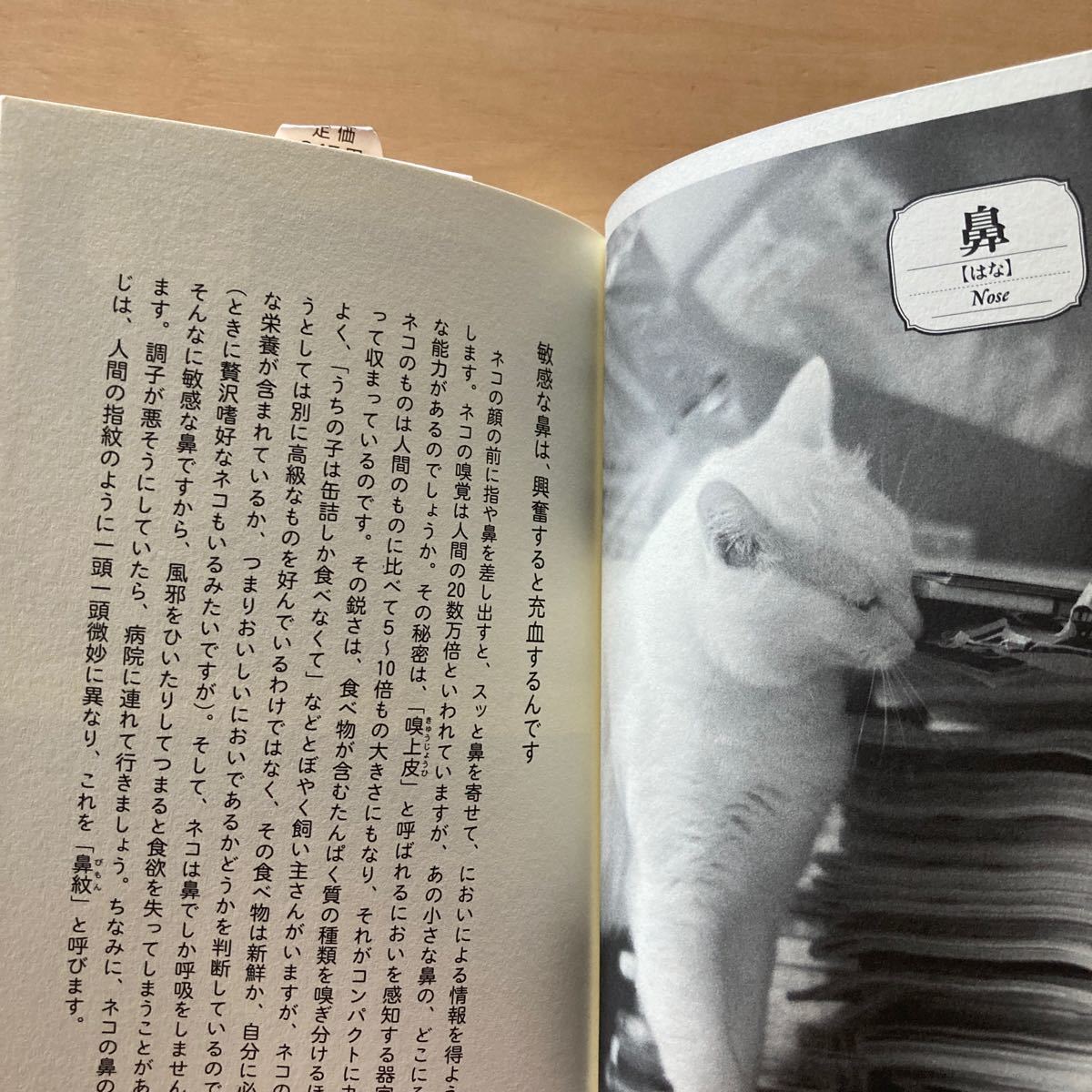 Paypayフリマ 猫に言いたいたくさんのこと 親愛なる君にもっと好かれる73の方法 野澤延行 Paypayフリマ 猫に言いたいたくさんのこと 親愛なる君にもっと好かれる73の方法 野澤延行