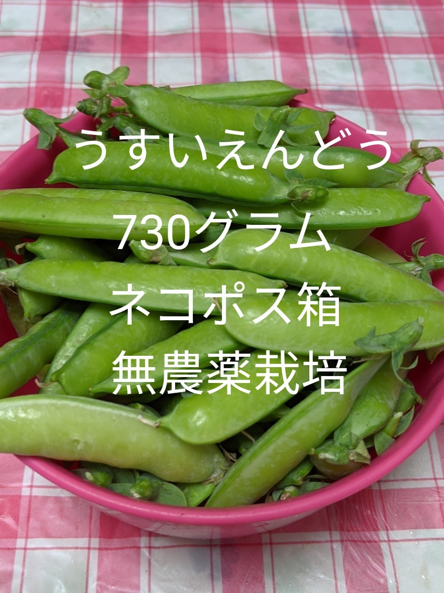 Paypayフリマ 岡山県産 うすいえんどう 正味730グラム ネコポス箱 無農薬栽培 Paypayフリマ 岡山県産 うすいえんどう 正味730グラム ネコポス箱 無農薬栽培